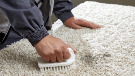 Professional Rug Cleaning Regent